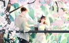 愛情故事 | 孤意難眠