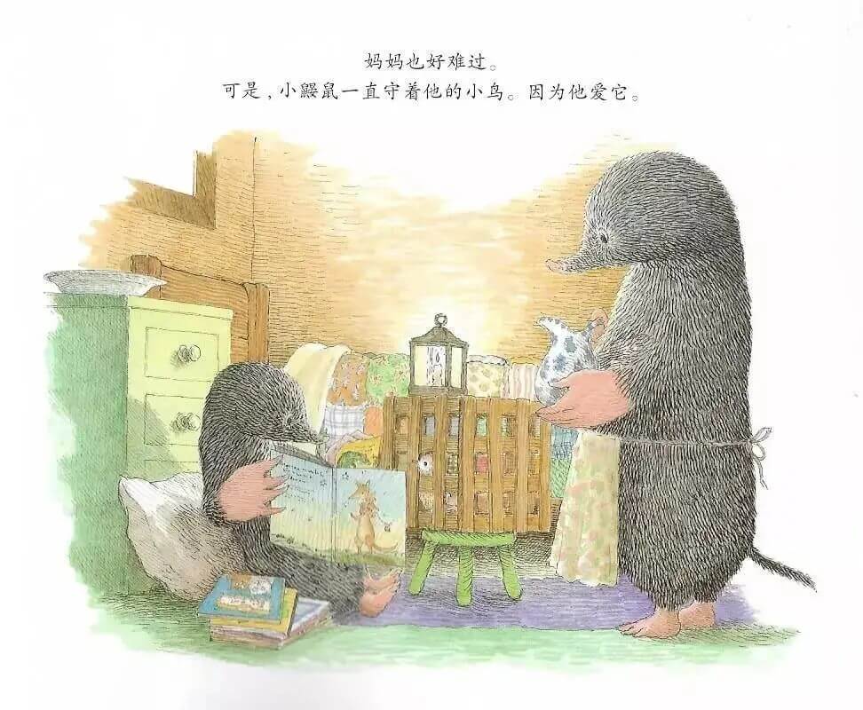 繪本故事 | 鼴鼠與小鳥
