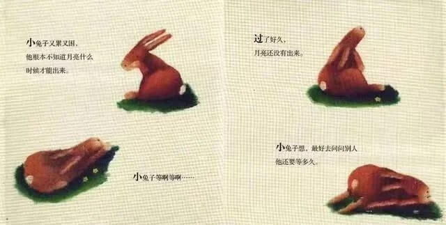 繪本故事 | 小兔子等月亮