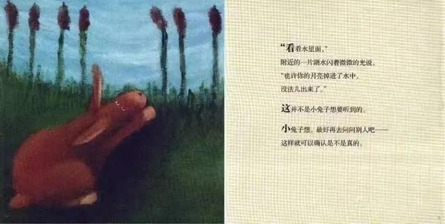 繪本故事 | 小兔子等月亮