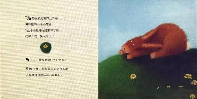 繪本故事 | 小兔子等月亮