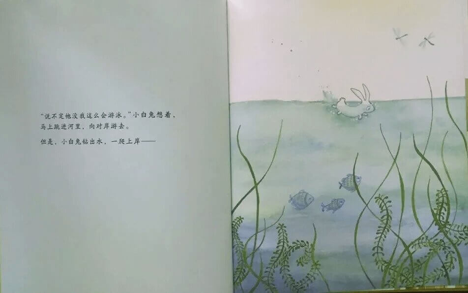 繪本故事 | 走開, 大黑兔