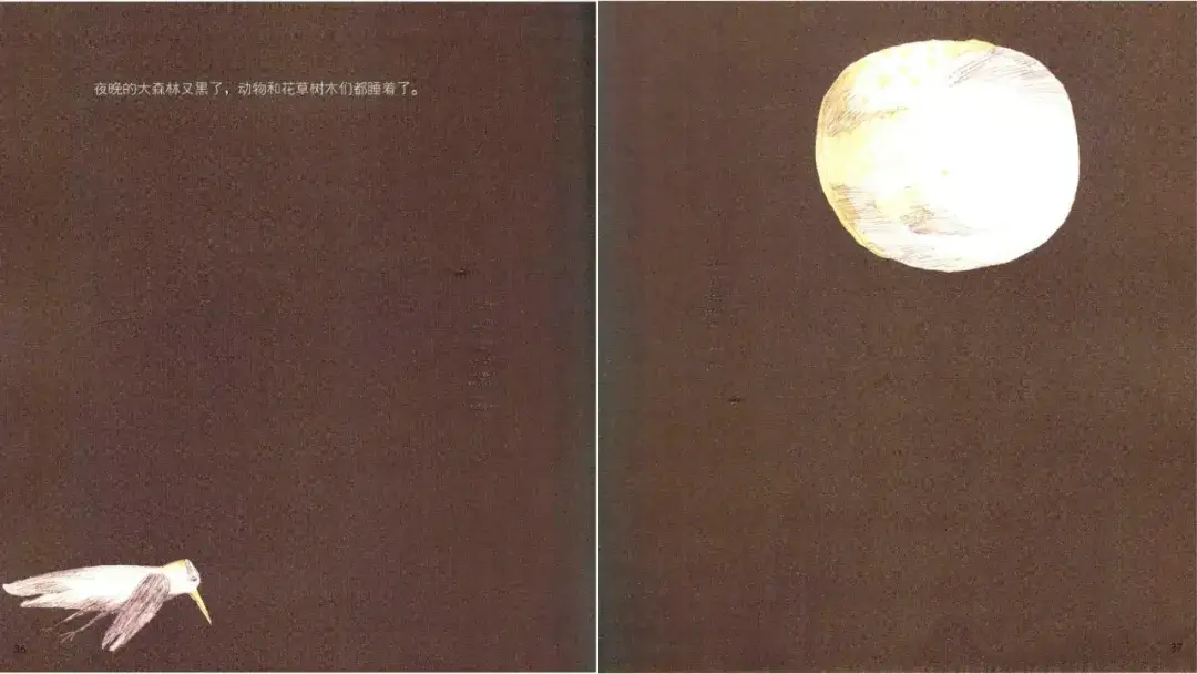 繪本故事 | 吃黑夜的大象