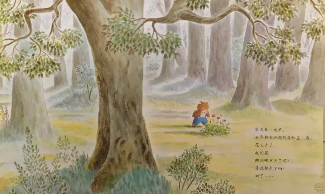 繪本故事 | 我的花開了，可是