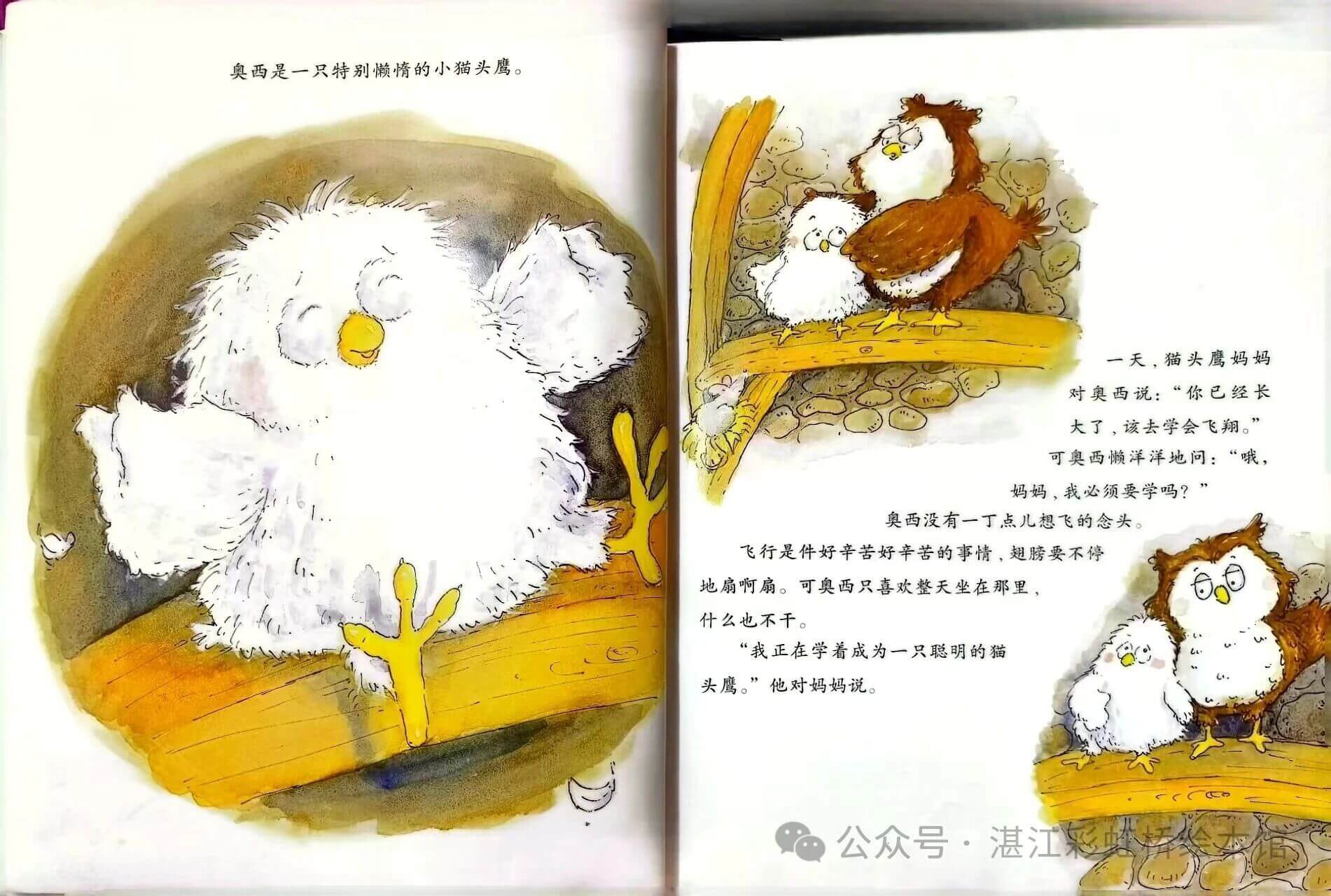 繪本故事 | 懶奧西