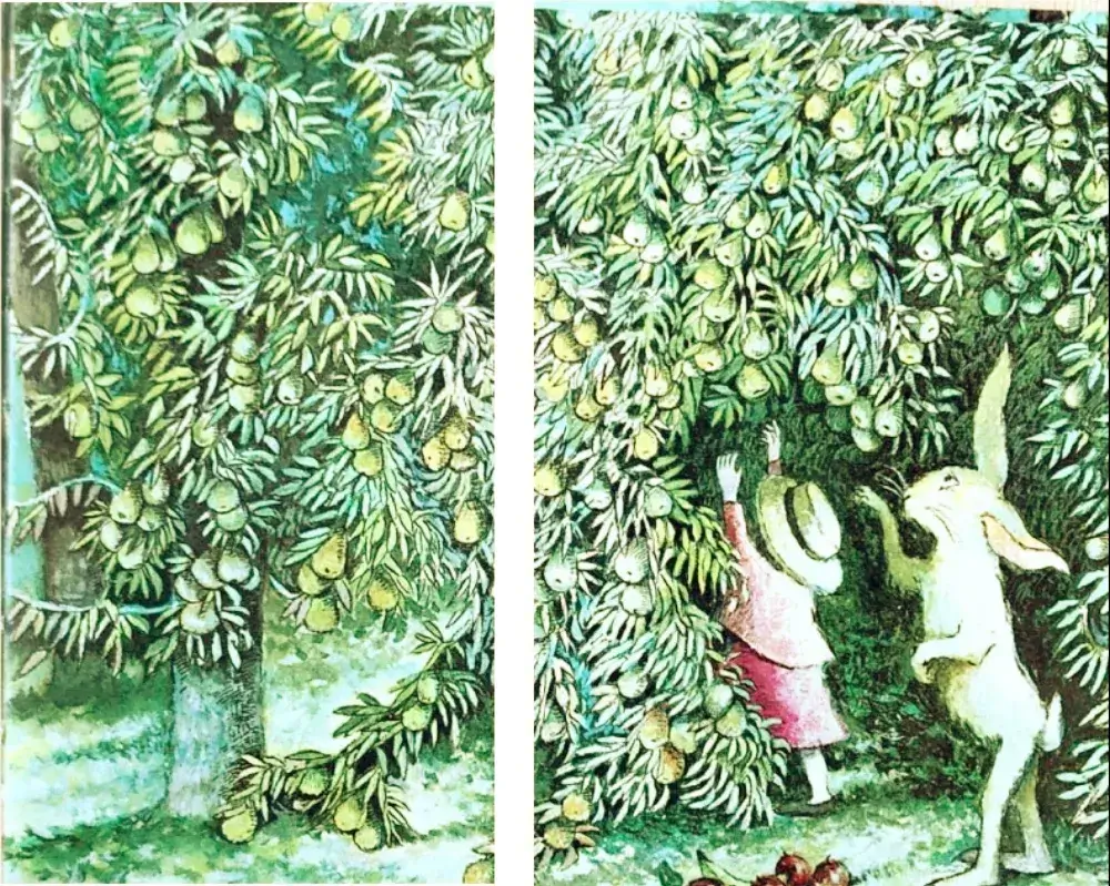 小故事 | 兔子先生和美好的禮物