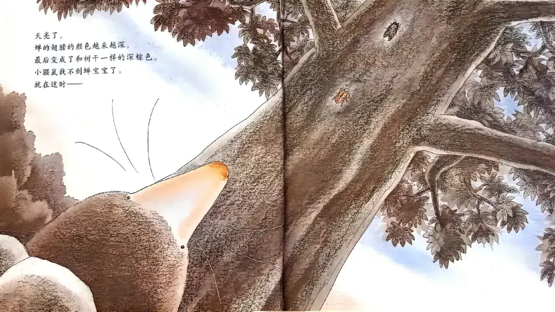 繪本故事 | 小鼴鼠和蟬寶寶