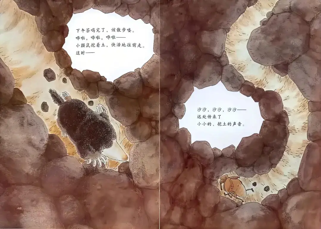 繪本故事 | 小鼴鼠和蟬寶寶