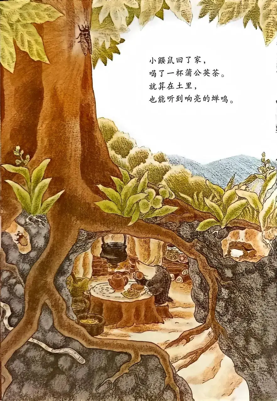 繪本故事 | 小鼴鼠和蟬寶寶