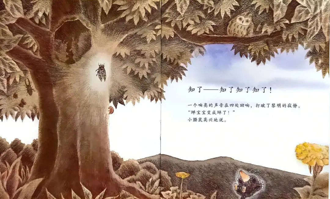 繪本故事 | 小鼴鼠和蟬寶寶