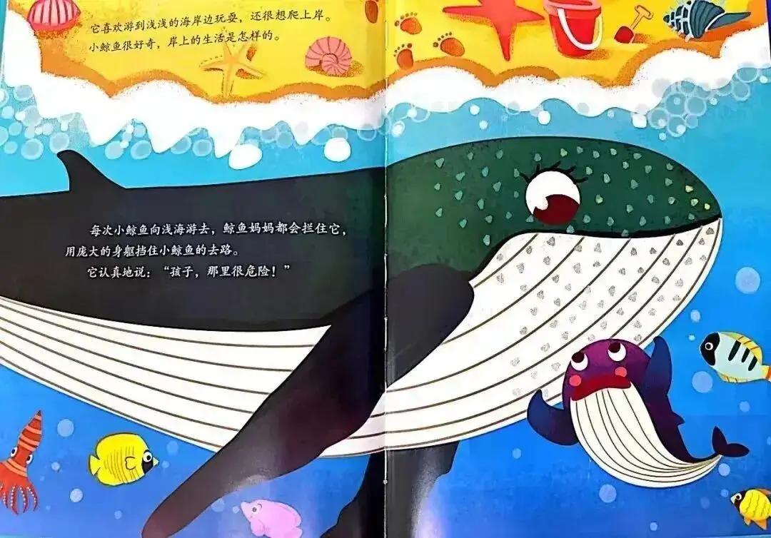 不亂發脾氣的小鯨魚