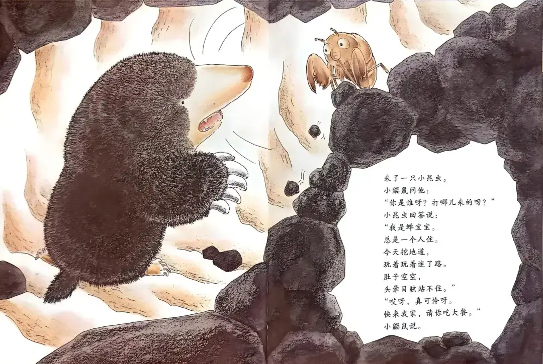 繪本故事 | 小鼴鼠和蟬寶寶