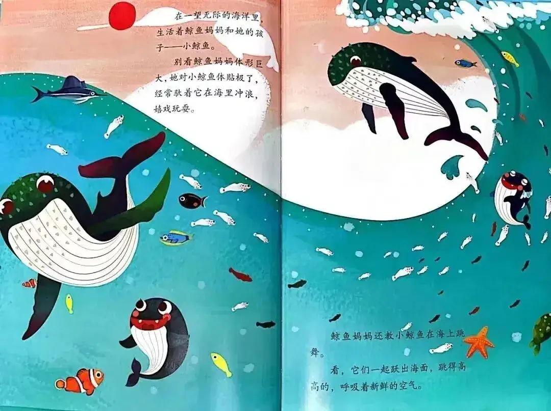 不亂發脾氣的小鯨魚